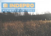 Widok północnego boku