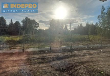 widok z salonu na ogródek