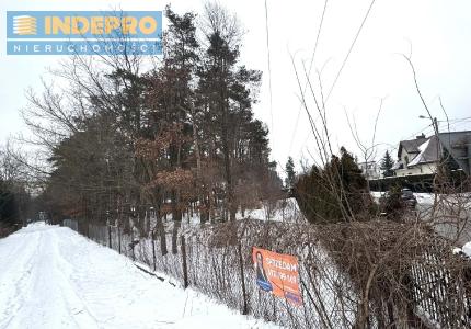 działka widok od strony wewnętrznej